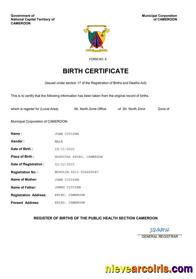 Cameroon vital record birth certificate